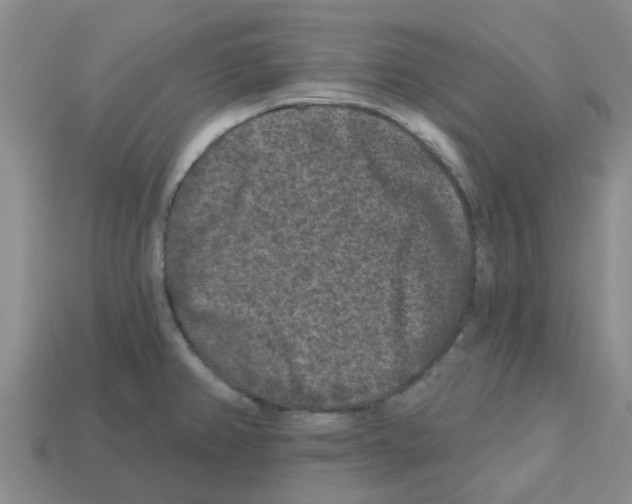 X0000112801382200910021111