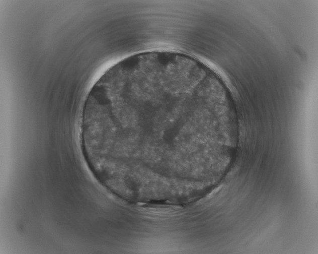 X0000112801383200910021111