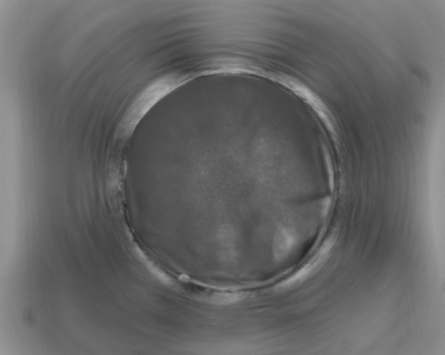 X0000112801385200910021111