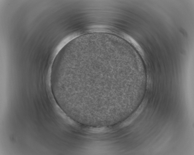 X0000112801386200910021111