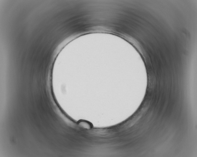 X0000112801387200910021111