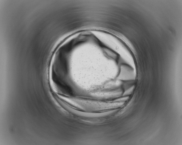 X0000112801388200910021111