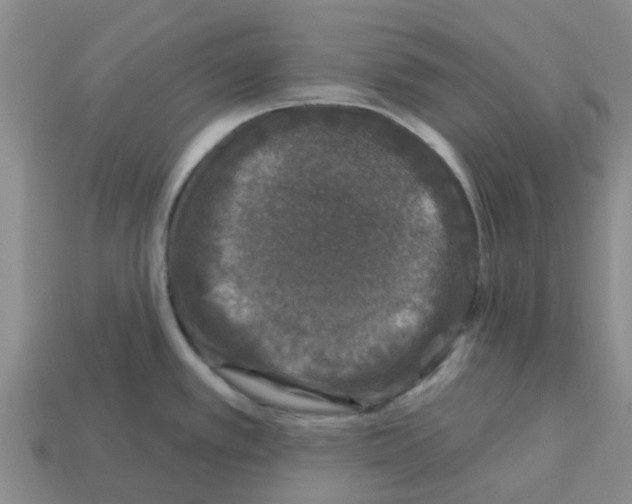 X0000112801389200910021111