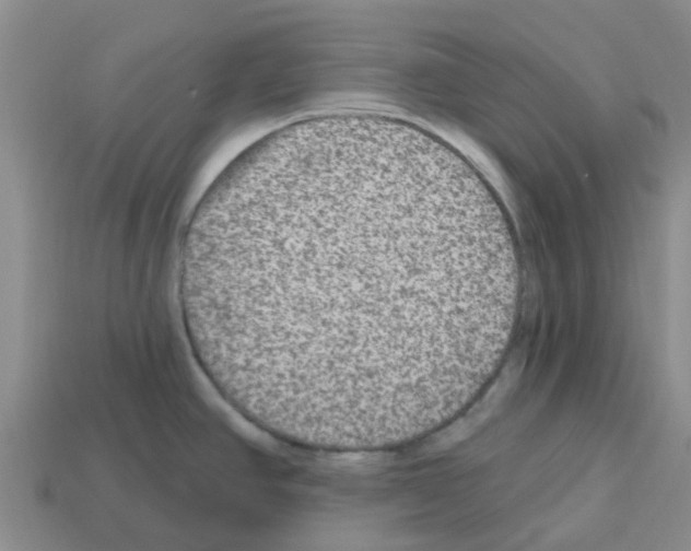 X0000112801390200910021111