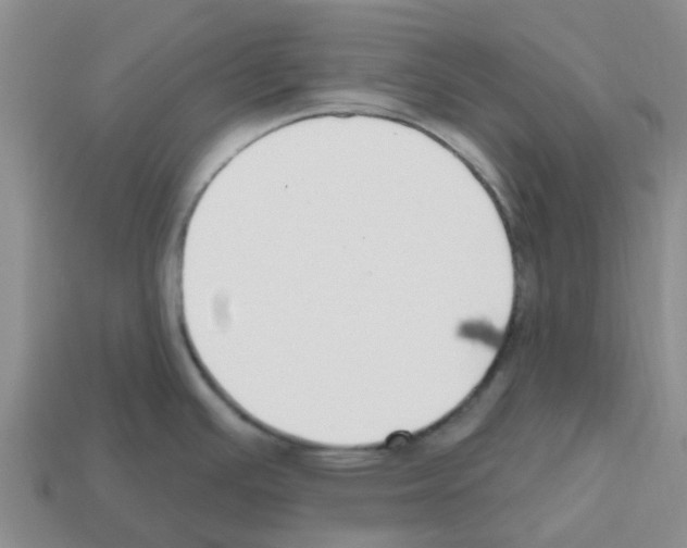 X0000112801391200910021111