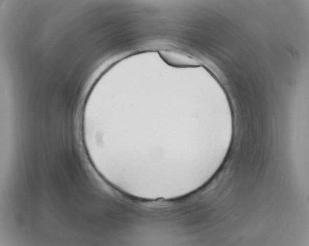 X0000112801392200910021111