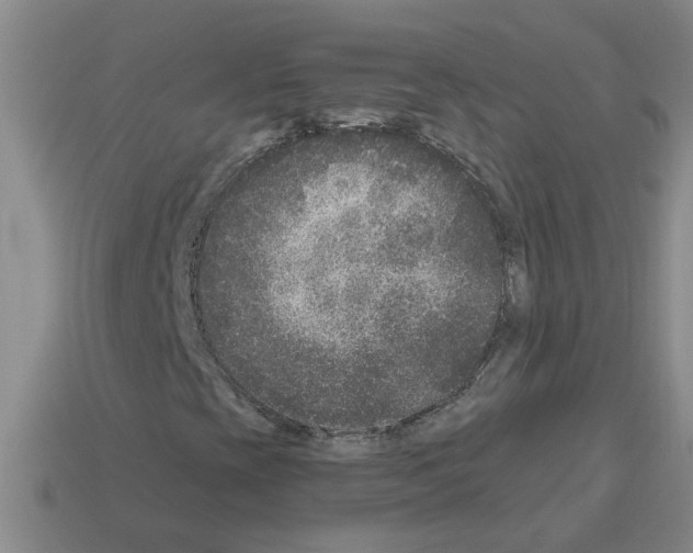 X0000112801393200910021110