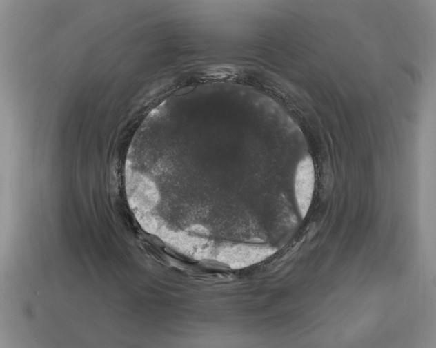 X0000112801394200910021110