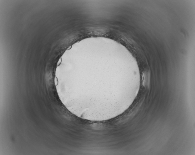 X0000112801395200910021110