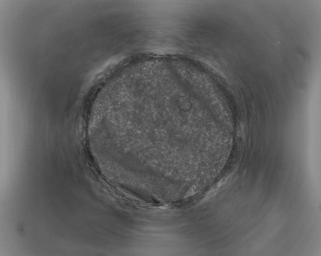 X0000112801398200910021111