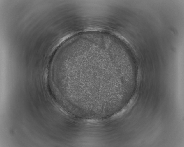 X0000112801401200910021111