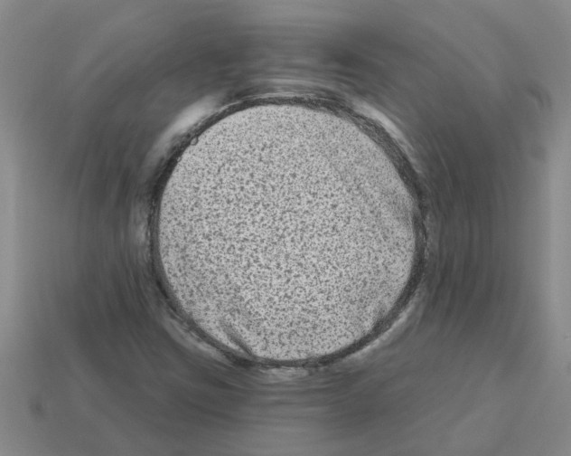 X0000112801403200910021111