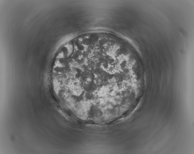 X0000112801405200910021111