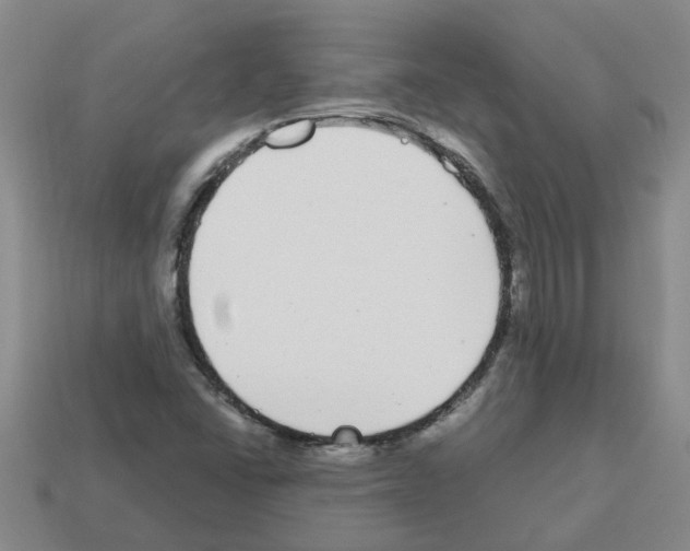X0000112801406200910021111