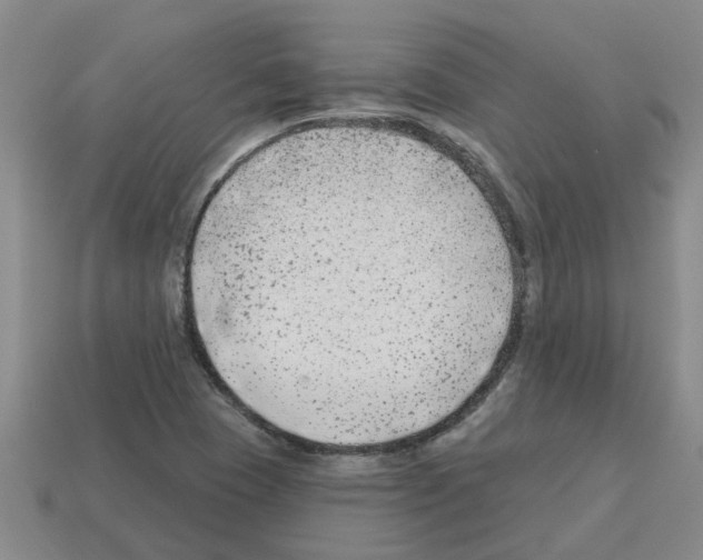 X0000112801409200910021111