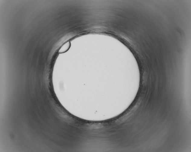 X0000112801410200910021111