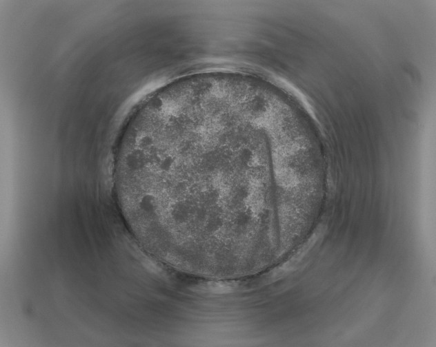 X0000112801411200910021111