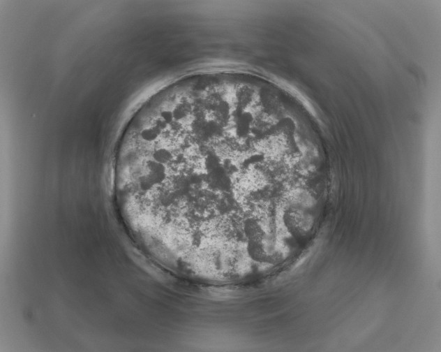 X0000112801413200910021111