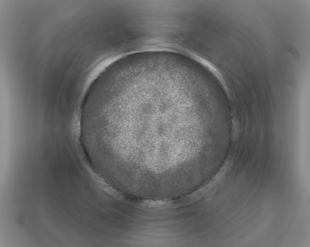 X0000112801415200910021111
