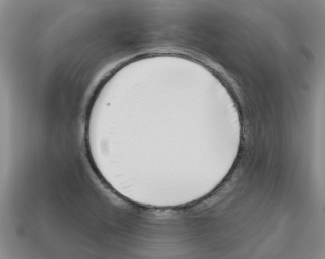 X0000112801416200910021111