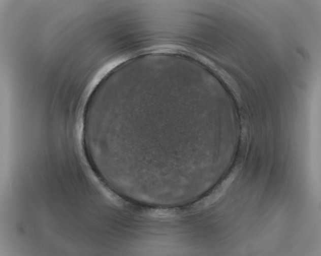 X0000112801418200910021111