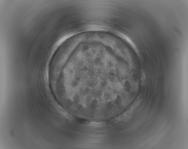 X0000112801419200910021111