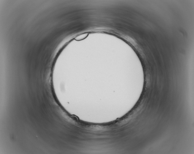 X0000112801420200910021111