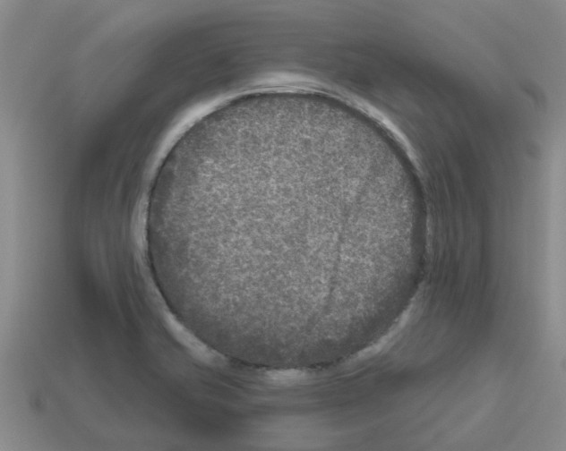X0000112801421200910021111
