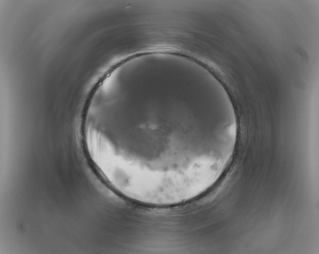 X0000112801422200910021111