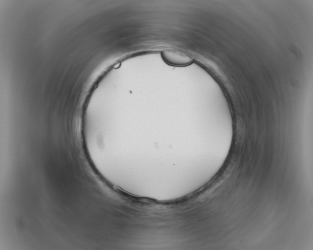 X0000112801424200910021111