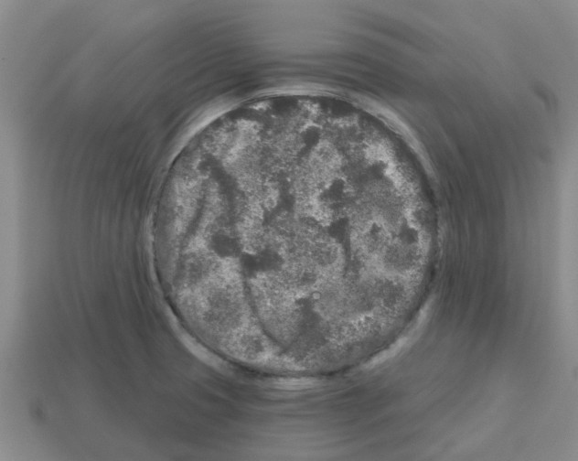 X0000112801425200910021111