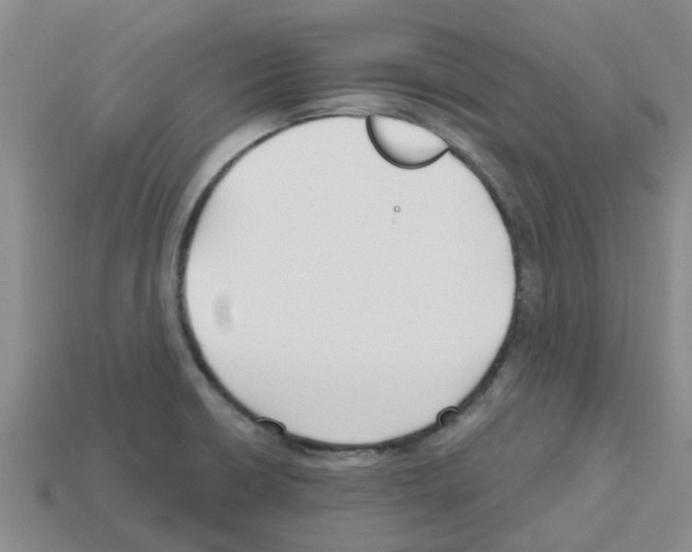 X0000112801426200910021111
