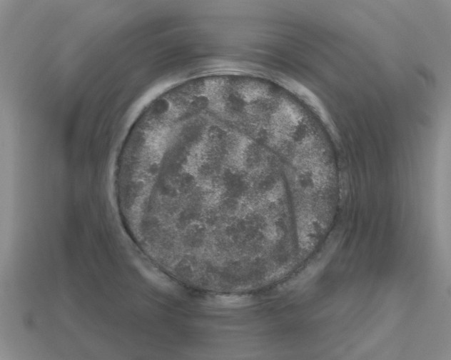 X0000112801427200910021111