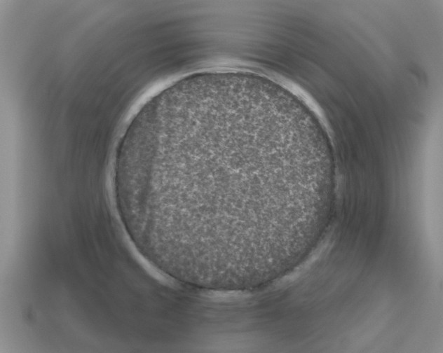 X0000112801429200910021111