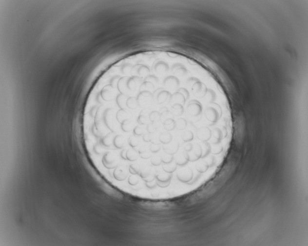 X0000112801432200910021111