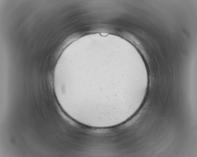 X0000112801433200910021111