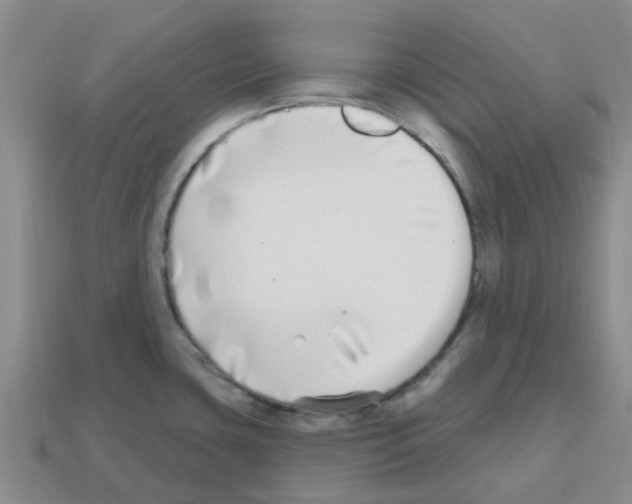 X0000112801435200910021111