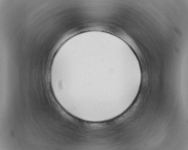 X0000112801436200910021111