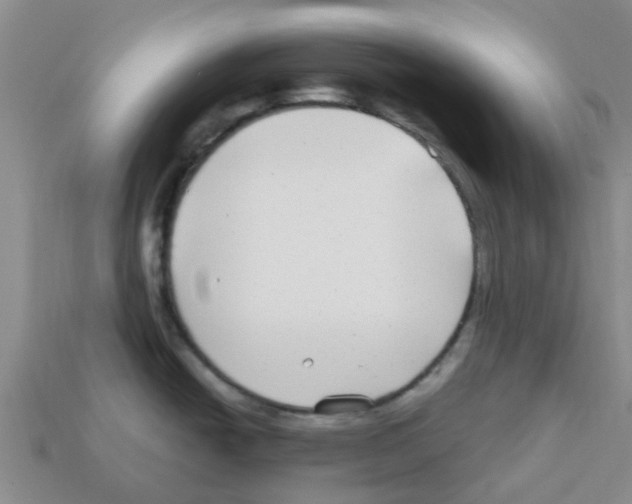 X0000112801438200910021111
