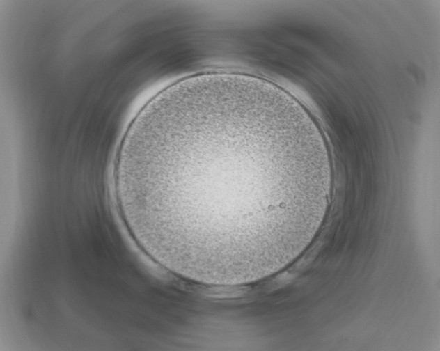 X0000112801440200910021111