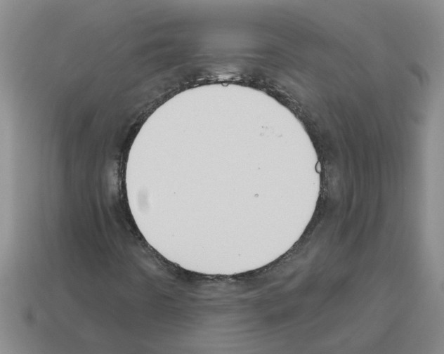 X0000112801442200910021110