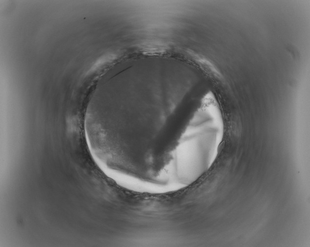 X0000112801445200910021110