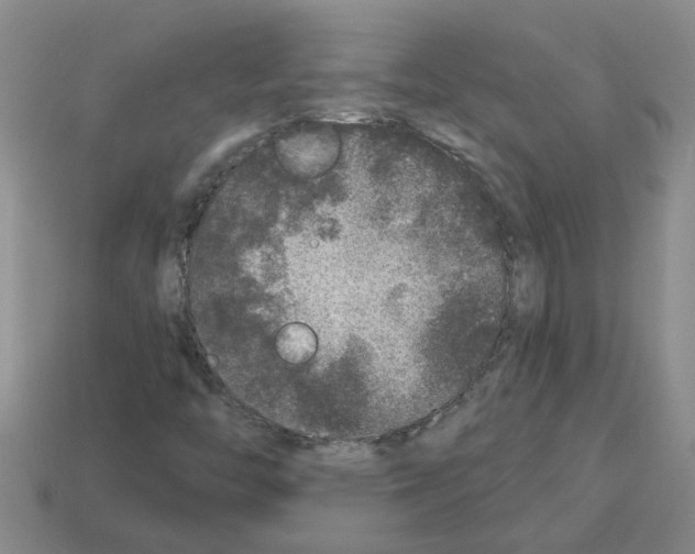 X0000112801446200910021110