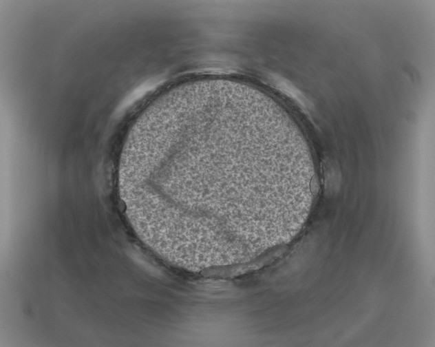 X0000112801448200910021110