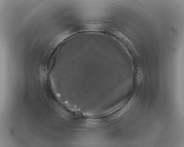 X0000112801449200910021110