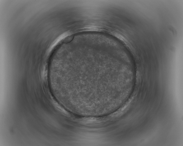 X0000112801450200910021110