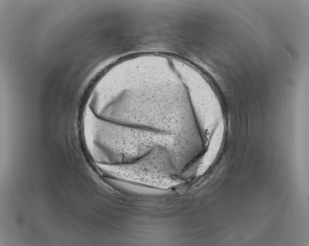 X0000112801452200910021110