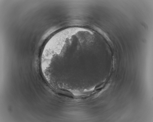 X0000112801453200910021110