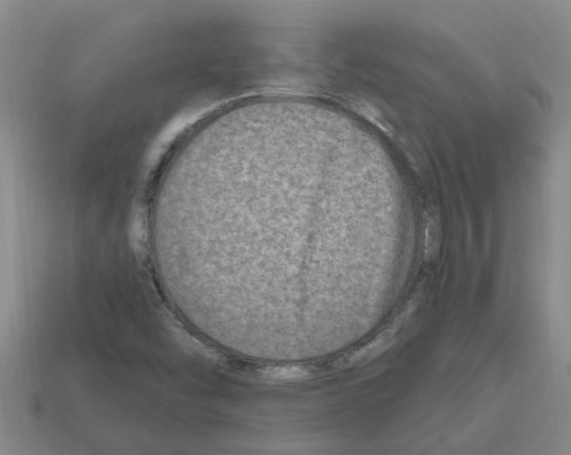 X0000112801454200910021110