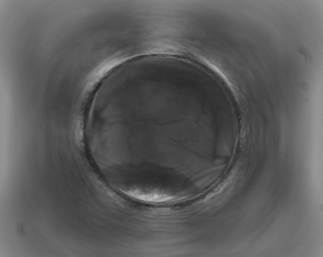 X0000112801455200910021110